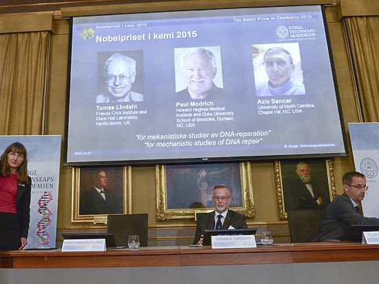 Нобелевскую премию по химии разделили ученые из Швеции, США и Турции - ảnh 1