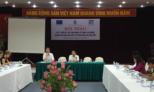 Во Вьетнаме собраны мнения по проекту исправленного Гражданского процессуального кодекса - ảnh 1