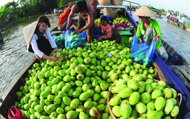 Популярные фрукты на юго-западе Вьетнама - ảnh 7