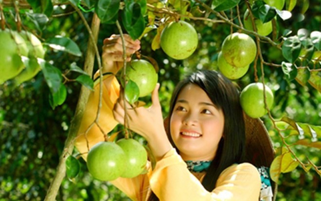 Популярные фрукты на юго-западе Вьетнама - ảnh 9