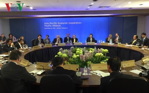 Президент СРВ принял участие в различных мероприятиях в рамках саммита АТЭС-2015 - ảnh 2