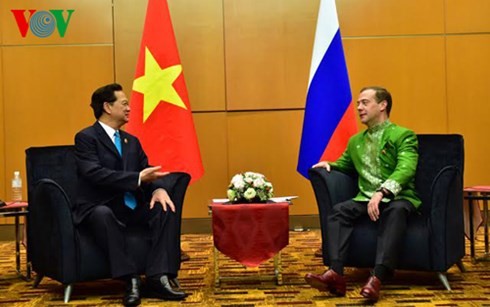 Нгуен Тан Зунг встретился с президентами Индонезии и США, премьерами России и Австралии - ảnh 3