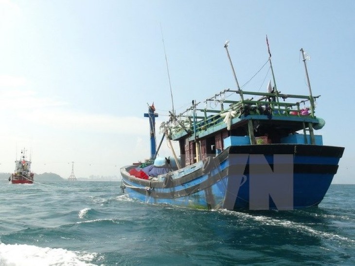 МИД СРВ осудило затопление рыболовецкого судна провинции Биньдинь - ảnh 1