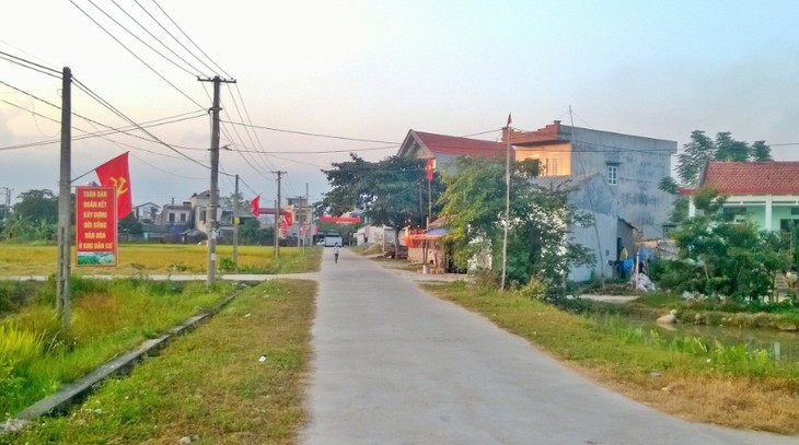 Провинция Куангнинь в основном завершила строительство новой деревни - ảnh 1