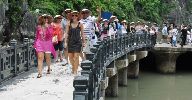 Количество иностранных туристов, посещающих Вьетнам в январе, продолжает расти - ảnh 1