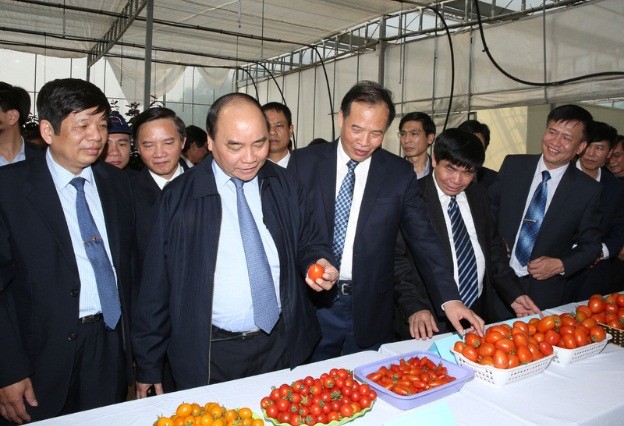Вице-премьер СРВ Нгуен Суан Фук поздравил власти и жителей провинции Хайзыонг с Тэтом - ảnh 1