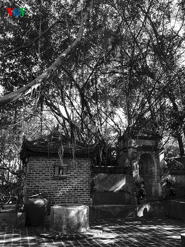Вьетнамская резиденция «Тхань Чыонг» в черно-белых фотографиях - ảnh 5