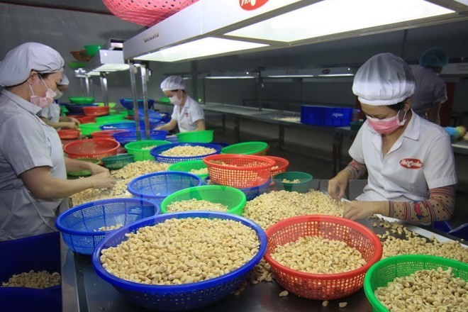 Вьетнам достиг впечатляющего роста объёма экспорта и импорта - ảnh 1