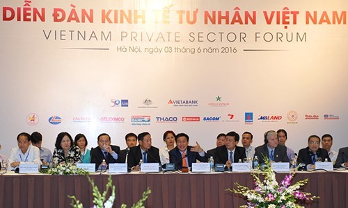 Выонг Динь Хюэ принял участие во вьетнамском форуме по частному сектору экономики - ảnh 1
