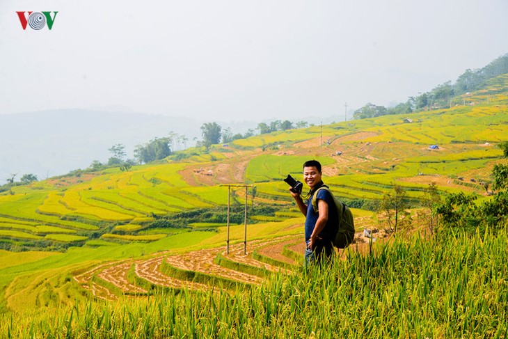 Сезон сбора урожая риса в провинции Туенкуанг - ảnh 7