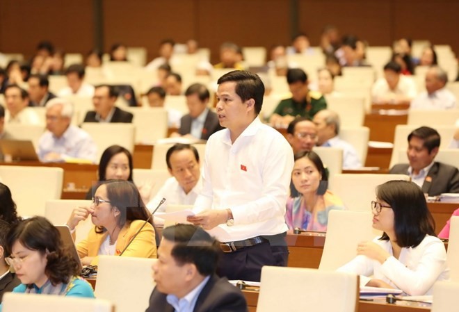 Вьетнам ускоряет процесс реструктуризации сельского хозяйства - ảnh 1