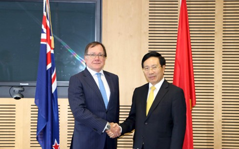 Фам Бинь Минь провел переговоры с министром иностранных дел Новой Зеландии - ảnh 1