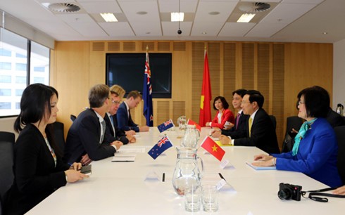 Фам Бинь Минь провел переговоры с министром иностранных дел Новой Зеландии - ảnh 2