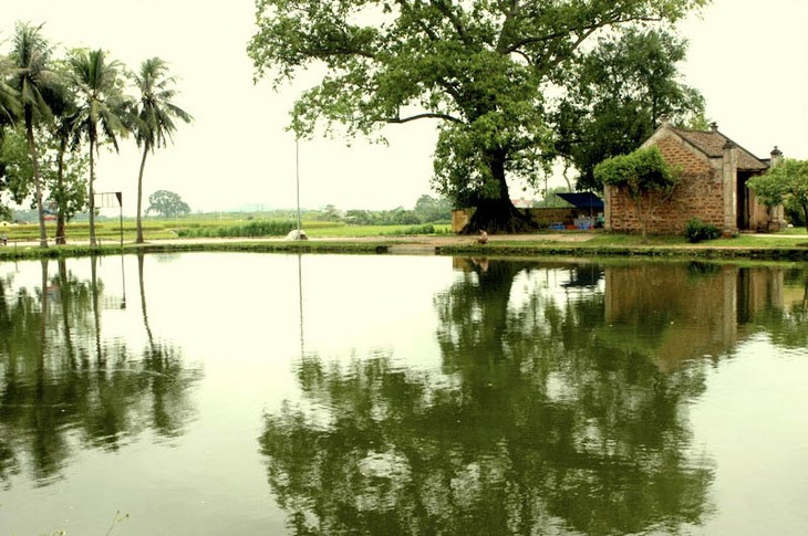 Характерная структура традиционной деревни Вьетнама - ảnh 1