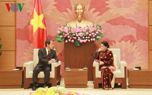 Нгуен Тхи Ким Нган приняла посла Японии во Вьетнаме - ảnh 1