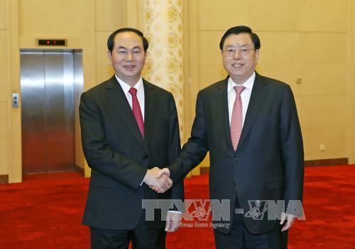 Президент Вьетнама Чан Дай Куанг встретился с руководителями Китая - ảnh 2
