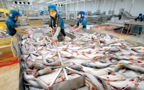 Рыбная отрасль СРВ всё ещё сталкивается с трудностями в увеличении экспорта в 2017 году - ảnh 1