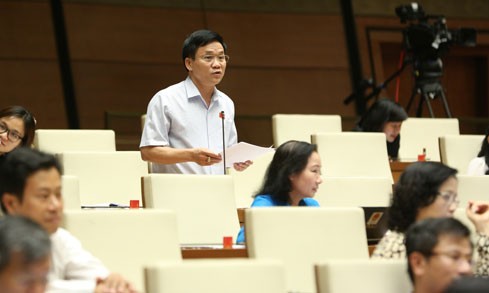 В парламенте Вьетнама обсудили исправленный Закон о жалобах - ảnh 1