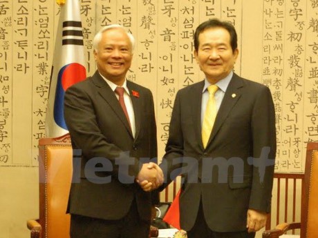 Уонг Чу Лыу нанёс визит вежливости спикеру южнокорейского парламента - ảnh 1