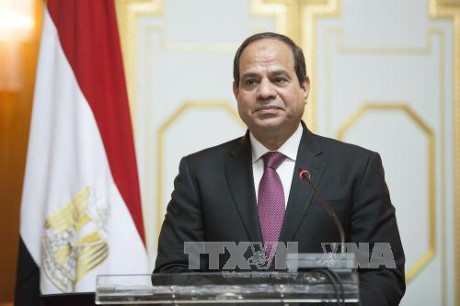 Президент Египта посетит Вьетнам с государственным визитом 6-7 сентября - ảnh 1