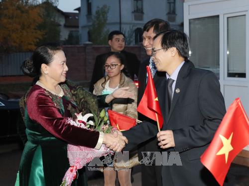 Нгуен Тхи Ким Нган встретилась с сотрудниками посольства Вьетнама в Казахстане - ảnh 1