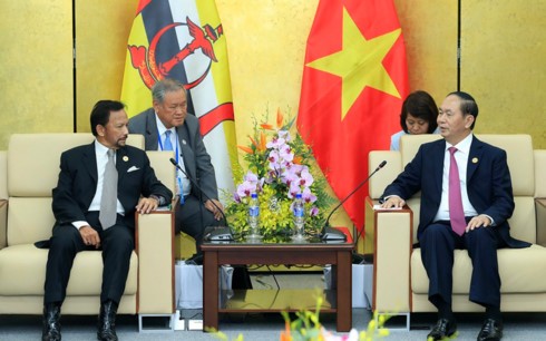 Президент Вьетнама Чан Дай Куанг принял лидеров АТЭС - ảnh 3