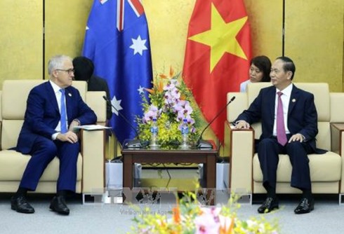 Президент Вьетнама Чан Дай Куанг принял лидеров АТЭС - ảnh 1
