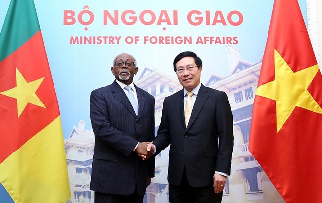 Вьетнам и Камерун активизируют двусторонние отношения - ảnh 1