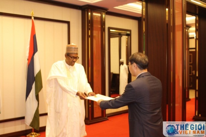 Вьетнам и Нигерия укрепляют двусторонние отношения - ảnh 1