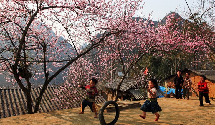 На северо-запад Вьетнама пришла ранняя весна - ảnh 1
