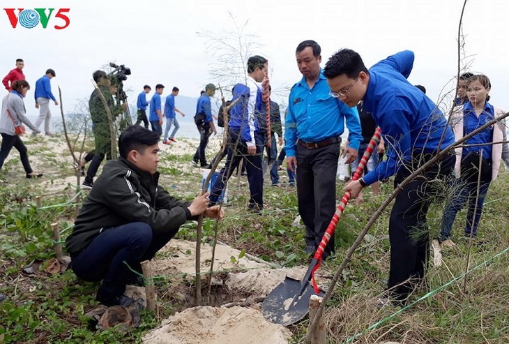 Во многих районах Вьетнама проводится праздник посадки деревьев в знак защиты лесов - ảnh 1