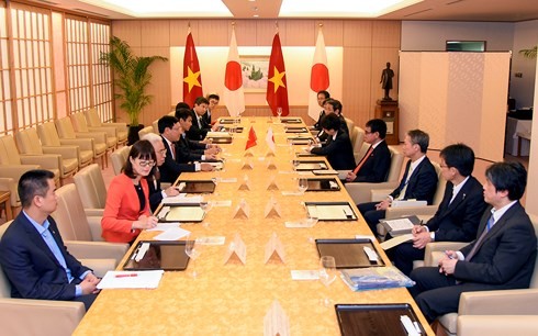 Фам Бинь Минь провёл переговоры с министром иностранных дел Японии - ảnh 2
