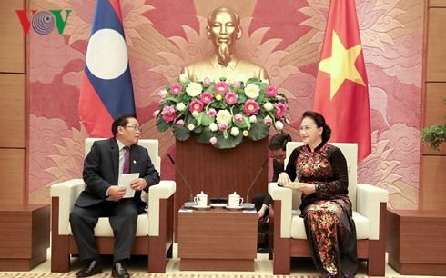 Вьетнам и Лаос активизируют сотрудничество и обмен опытом между парламентами - ảnh 1