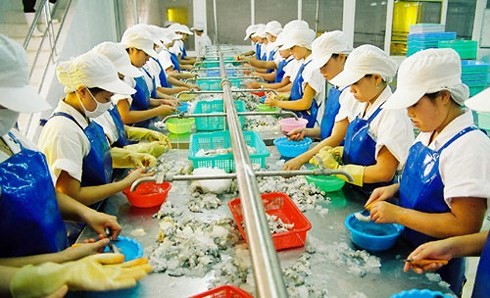 Усилия для отмены «желтой карточки» ЕК в отношении морепродуктов Вьетнама - ảnh 1