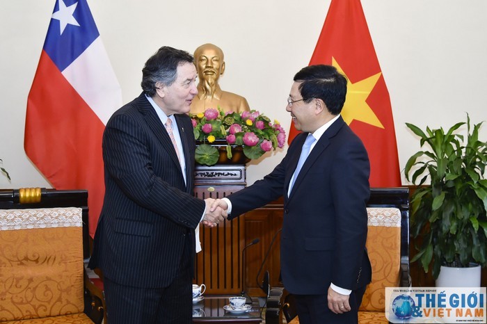 Вице-премьер, глава МИД Вьетнама принял министра иностранных дел Чили - ảnh 1