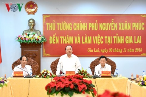 Премьер Вьетнама провел рабочую встречу с руководством провинции Зялай - ảnh 1