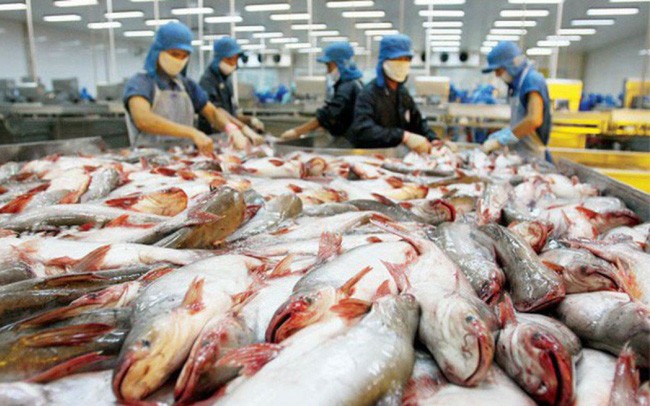Вьетнам использует возможности для увеличения экспорта морепродуктов - ảnh 1