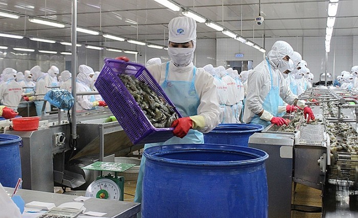 Вьетнам использует возможности для увеличения экспорта морепродуктов - ảnh 2