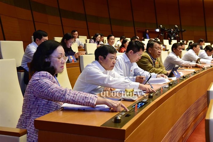Нацсобрание Вьетнама приняло некоторые законопроекты и постановления - ảnh 1
