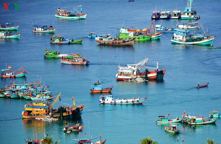 Различные меры по развитию морского рыболовства Вьетнама - ảnh 1