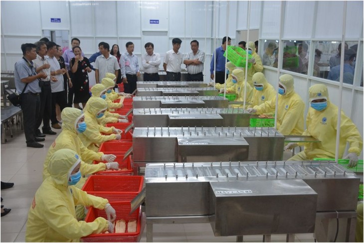 Различные меры по развитию морского рыболовства Вьетнама - ảnh 2