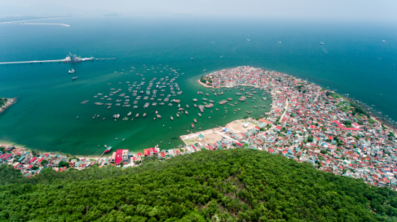 Во Вьетнаме изучают модель экосистемы морского города - ảnh 1