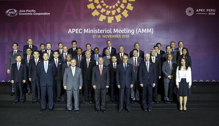 APEC 2016 : pour l’intégration régionale - ảnh 1