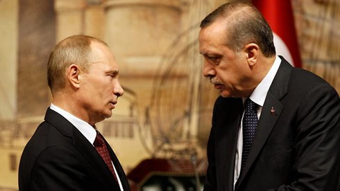 Erdogan et Poutine veulent accélérer l’aide humanitaire à Alep - ảnh 1