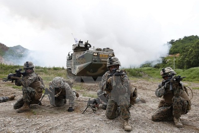 Début des exercices militaires de l’armée sud-coréenne au large des Dokdo - ảnh 1