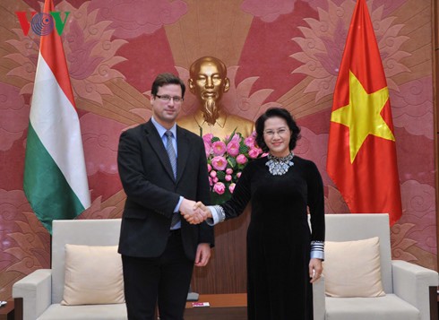 Nguyen Thi Kim Ngan rencontre le vice-président du parlement  hongrois - ảnh 1