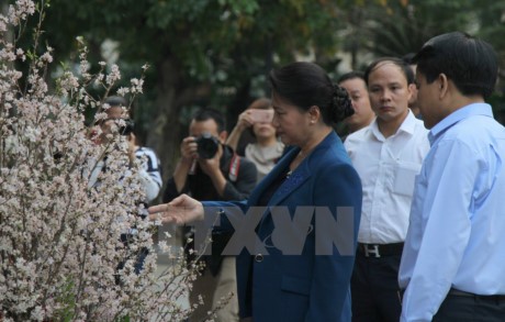 Nguyên Thi Kim Ngân à l’exposition des fleurs de cerisiers à Hanoï - ảnh 1