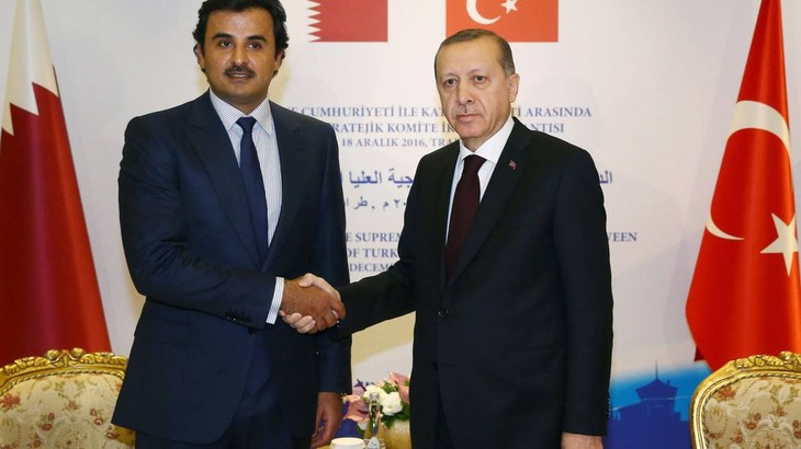 Qatar: «efforts diplomatiques» d'Erdogan - ảnh 1