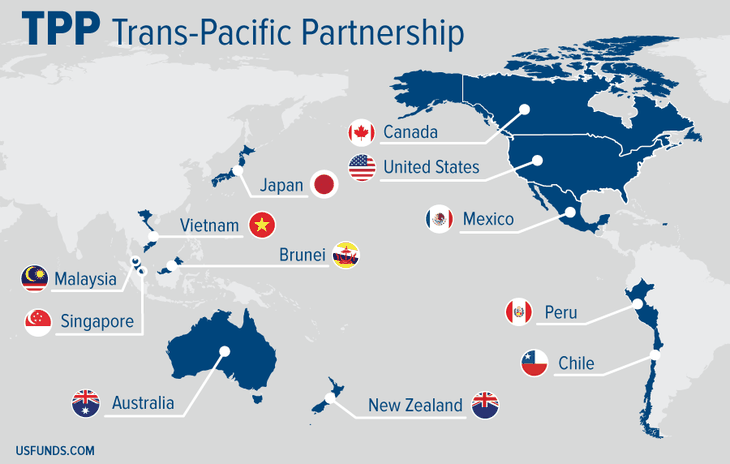 Les 11 pays restants discutent d’un TPP post-Etats-Unis - ảnh 1