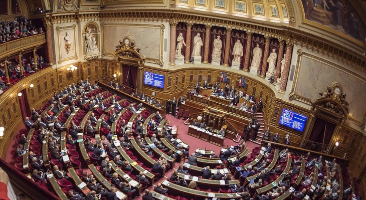 Le Sénat français adopte le projet de loi antiterroriste - ảnh 1